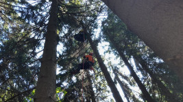 paragliding FxTVd8vXgAASjyU